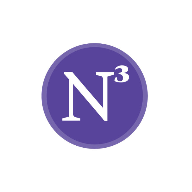 The Northwestern Neighborhood & Network Initiative (N3) is served by The Steans Family Foundation.